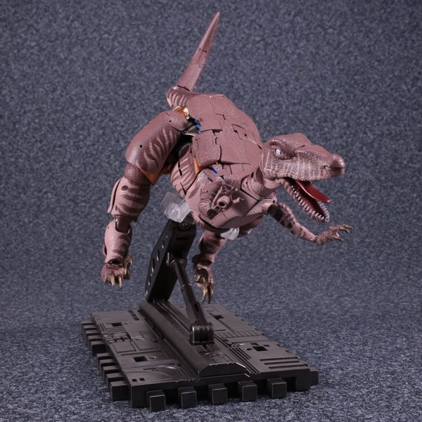Masterpiece MP 41 Dinobot Full Stock Photos Revealed   With Size Comparisons And Black Magic 04 (4 of 10)